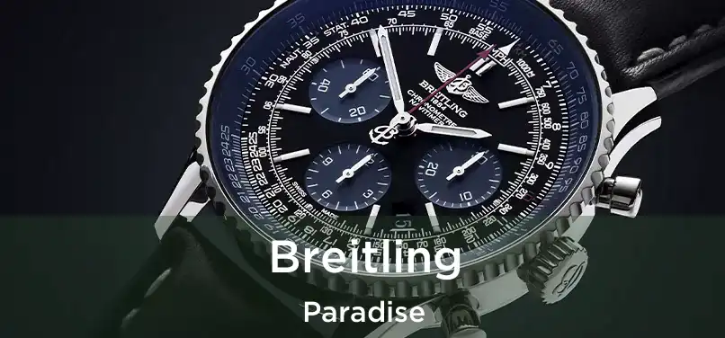  Breitling Paradise