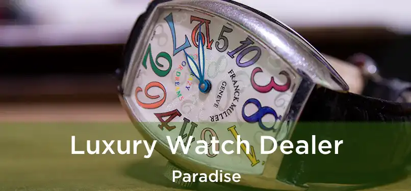  Luxury Watch Dealer Paradise