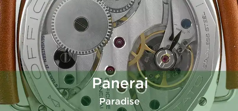  Panerai Paradise